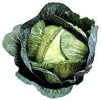 Cabbage